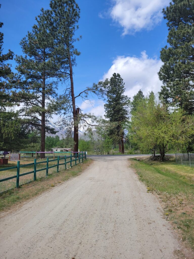 Choosing Land for Your Cabin